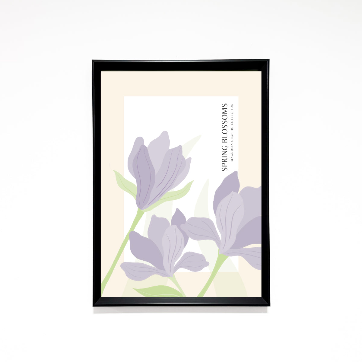 Magnolias Spring Blossom Ilustración