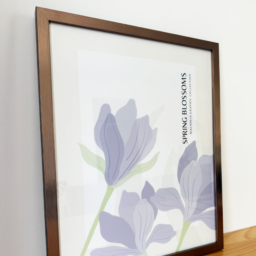 Magnolias Spring Blossom Ilustración