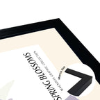 Magnolias Spring Blossom Ilustración