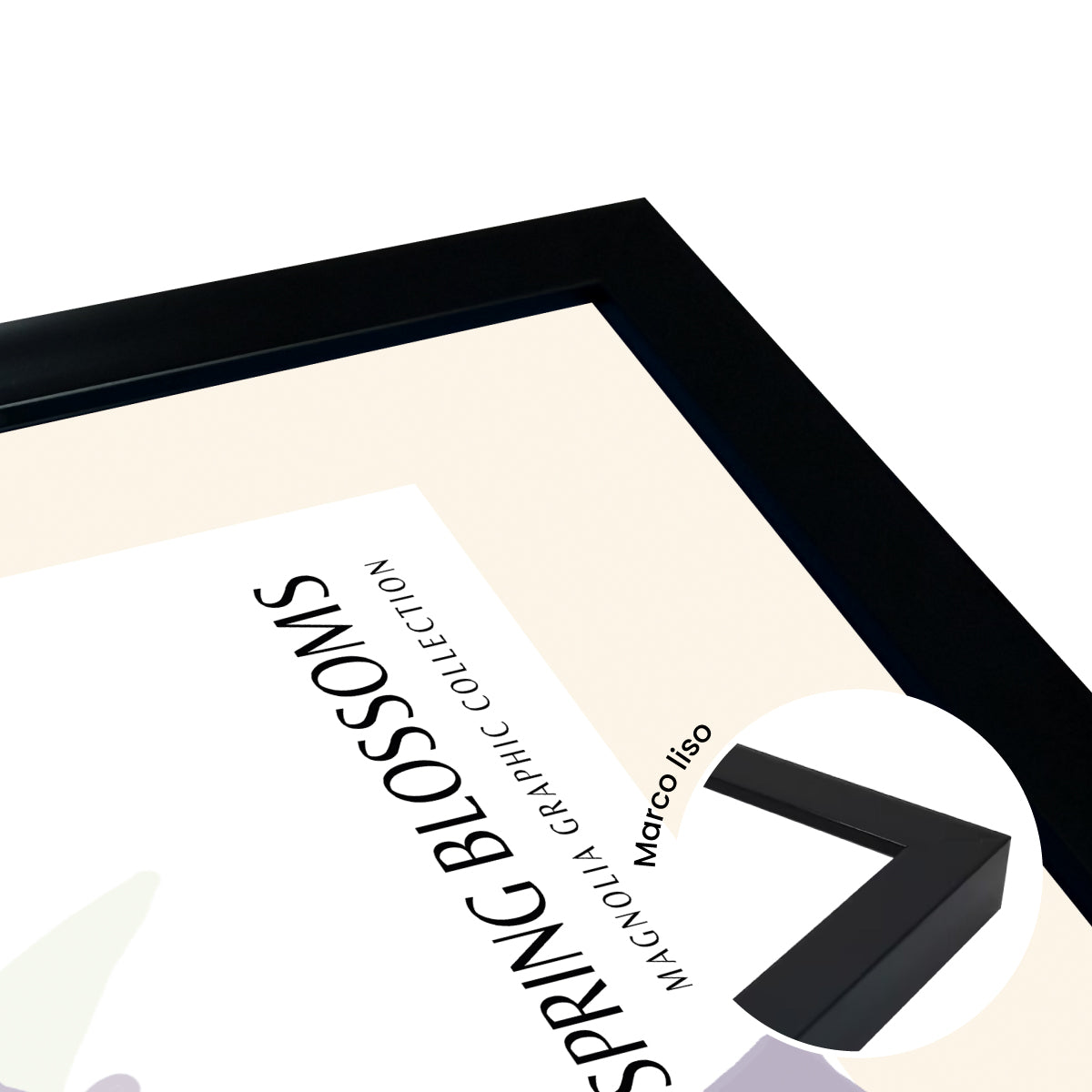 Magnolias Spring Blossom Ilustración