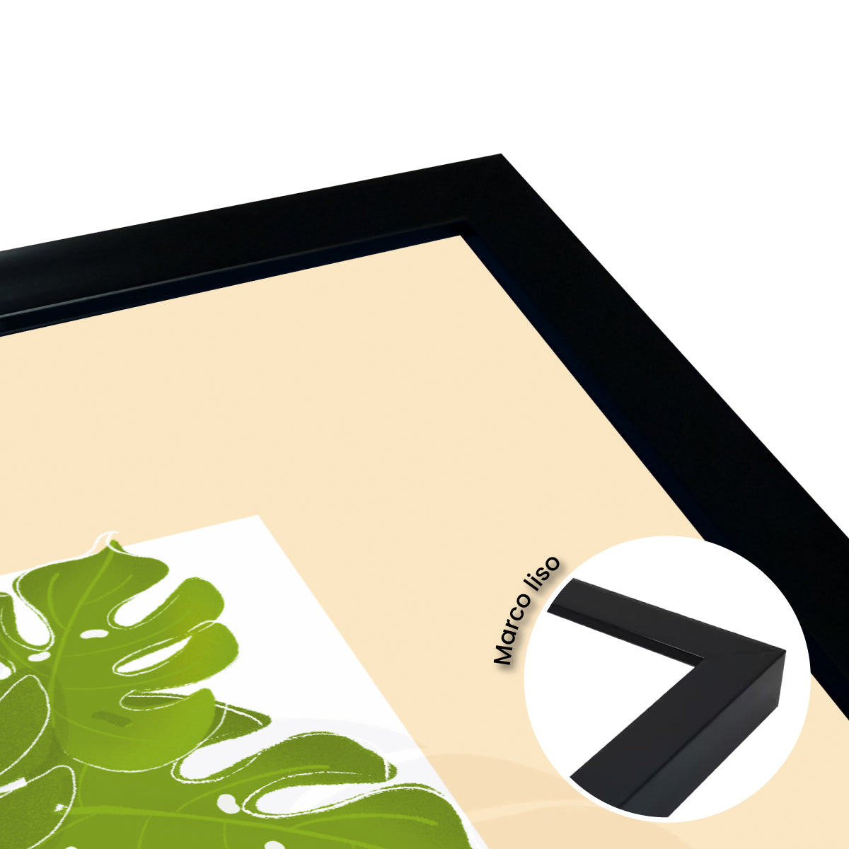 Monstera Ilustración