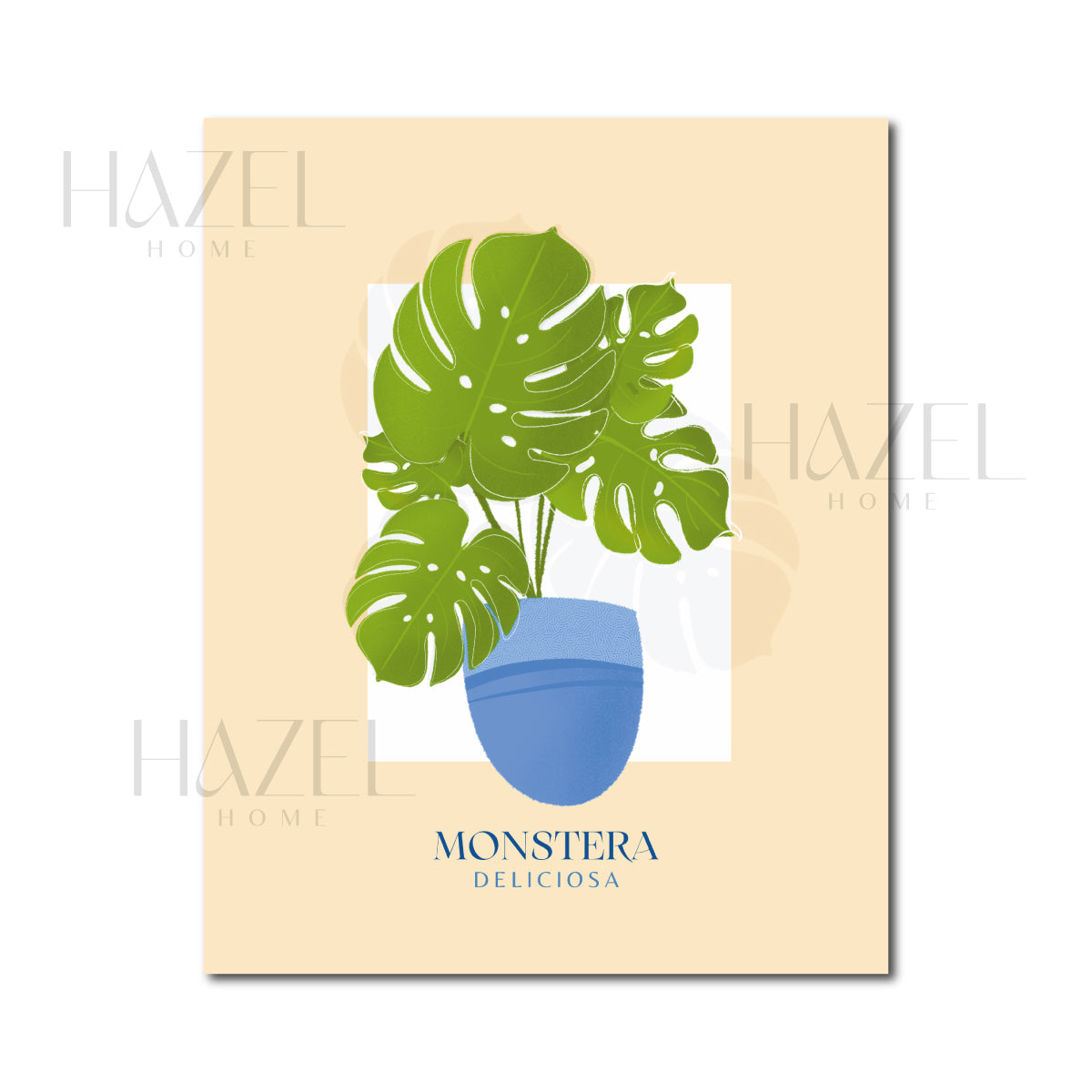 Monstera Ilustración